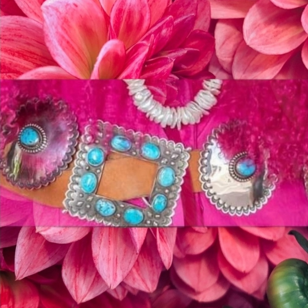 Meet your Posher, Cambria